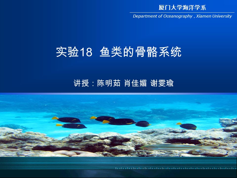 厦门大学海洋学系department Of Oceanography Xiamen University 实验18 鱼类的骨骼系统讲授 陈明茹肖佳媚谢雯瑜 Ppt Download