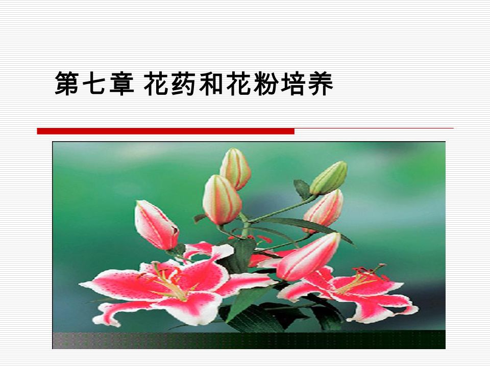 第七章花药和花粉培养 学习目的要求 1 掌握花药培养和花粉培养的区别2 了解花药最佳接种时期3 掌握花药培养的大致过程4 掌握花粉 培养的大致过程