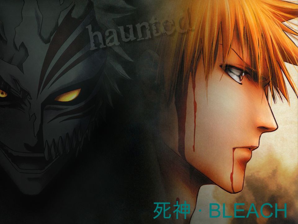 死神 Bleach 故事的主人公黑崎一护只是个看似单薄却满身热血的暴力少年 拥有能看见幽灵的体质日子平凡 家里一开医院兼除灵的老爸和两个性格绝对正常的妹妹 外加每天七点必须按时回家否则便用身体语言教训的暴力家规 吵闹的父子懂事的妹妹以及与其他普通漫画主角无