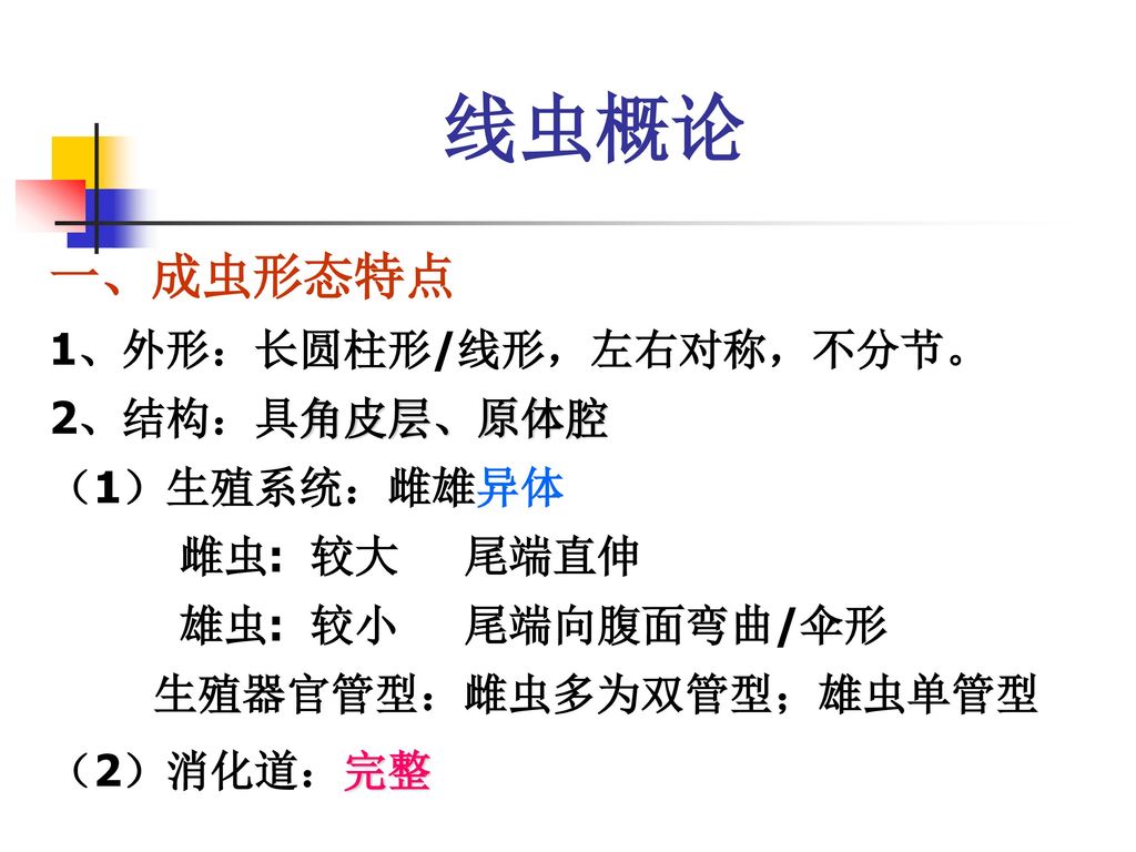 线虫概论一 成虫形态特点1 外形 长圆柱形 线形 左右对称 不分节 2 结构 具角皮层 原体腔 1 生殖系统 雌雄异体 Ppt Download