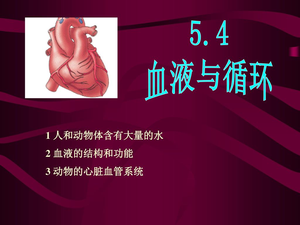 5 4 血液与循环1 人和动物体含有大量的水2 血液的结构和功能3 动物的心脏血管系统 Ppt Download