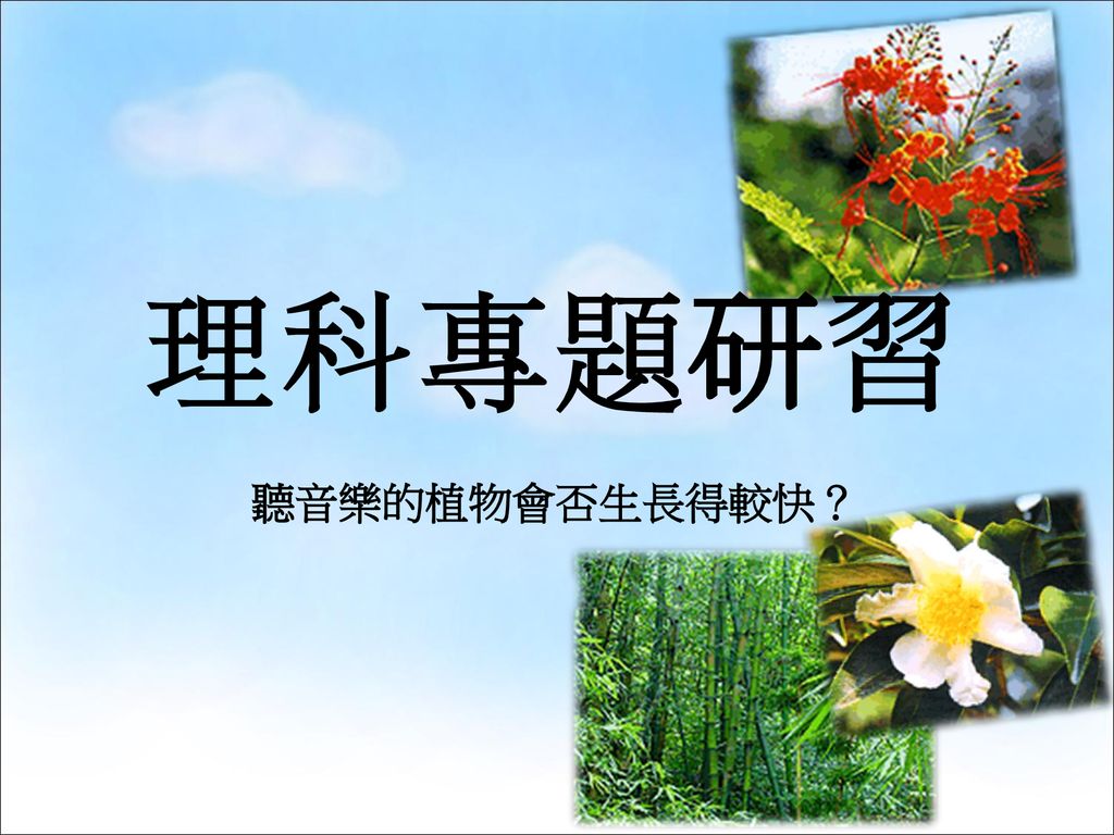 理科專題研習聽音樂的植物會否生長得較快 Ppt Download