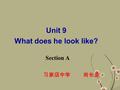 Unit 9 What does he look like? Section A 习家店中学 尚长波.