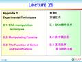 1 / 55 Lecture 29 Appendix D Experimental Techniques D.1 DNA manipulation techniques D.2 Manipulating Proteins D.3 The Function of Genes and their Proteins.