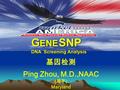 基因检测 Ping Zhou, M.D.,NAAC ( 周平 ) Maryland G ENE SNP DNA Screening Analysis.