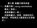 第七章 能量代谢和体温 一、能量代谢（ energy metabolism) 概念（图表） 直接测量法（略） 间接测量法（原理、食物的热价、 氧热价、呼吸商及计算原则以及简略 法）