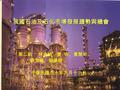 第二組： 林金楨、曹 明、黃慧珍、 劉文義、劉夢雄 中華民國九十年九月十六日 我國石油及石化市場發展趨勢與機會.