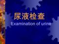 尿液检查 Examination of urine Basic examination of urine Component : specimen evaluation gross/physical examination chemical screening sediment examination.