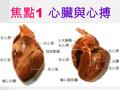 焦點 1 心臟與心搏. 右心房 右心室 左心房 左心室 上下腔 大靜脈 肺靜脈 肺動脈 主動脈.