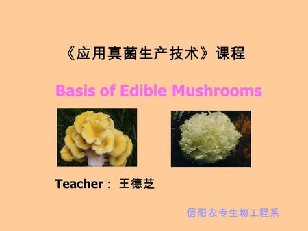 Basis of Edible Mushrooms Teacher ： 王德芝 信阳农专生物工程系 《应用真菌生产技术》课程.