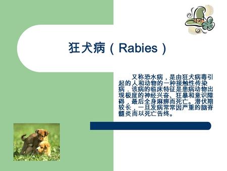 狂犬病（ Rabies ） 又称恐水病，是由狂犬病毒引 起的人和动物的一种接触性传染 病．该病的临床特征是患病动物出 现极度的神经兴奋、狂暴和意识障 碍，最后全身麻痹而死亡。潜伏期 较长，一旦发病常常因严重的脑脊 髓炎而以死亡告终。