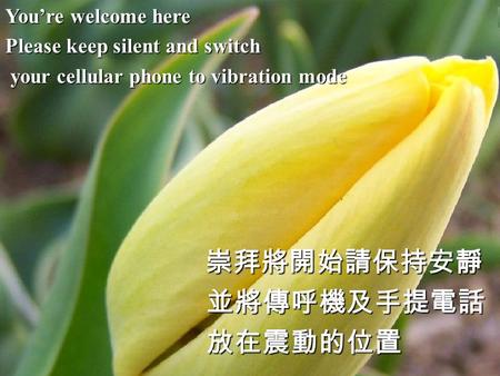 You’re welcome here Please keep silent and switch your cellular phone to vibration mode your cellular phone to vibration mode崇拜將開始請保持安靜 並將傳呼機及手提電話 並將傳呼機及手提電話.