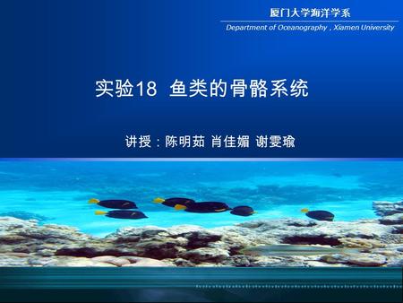 厦门大学海洋学系 Department of Oceanography ， Xiamen University 实验 18 鱼类的骨骼系统 讲授：陈明茹 肖佳媚 谢雯瑜.