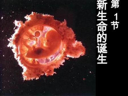 深圳市沙井中学：刘沅南制作. 1 、出生的小宝宝 ( 新生命）是怎么来的呢？ 新生命都是从一个细胞 —— 受精卵发育而 来的。 2 、 受精卵又是如何产生的呢？ 是精子和卵细胞相互结合产生的。