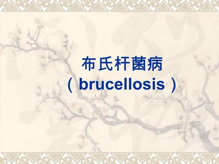 布氏杆菌病 （ brucellosis ）. 概述  简称布病，是由布鲁氏菌引起的人、畜共 患慢性传染病。  以生殖器和胎膜发炎，引起流产、不育、 睾丸炎和组织器官局部病变为特征。  本病广泛分布在世界各地。