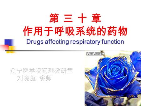 第 三 十 章 作用于呼吸系统的药物 Drugs affecting respiratory function.