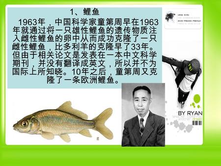 1 、鲤鱼 1963 年，中国科学家童第周早在 1963 年就通过将一只雄性鲤鱼的遗传物质注 入雌性鲤鱼的卵中从而成功克隆了一只 雌性鲤鱼，比多利羊的克隆早了 33 年。 但由于相关论文是发表在一本中文科学 期刊，并没有翻译成英文，所以并不为 国际上所知晓。 10 年之后，童第周又克 隆了一条欧洲鲤鱼。