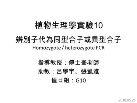 辨別子代為同型合子或異型合子 Homozygote / heterozygote PCR 指導教授：傅士峯老師 助教：呂學宇、張凱雅 值日組： G10 植物生理學實驗 10 2016.05.25.