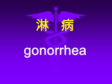 淋 病 gonorrhea. 一、定 义 淋病是由淋病双球菌引起的泌尿 生殖系统的化脓性感染，也包括 眼、咽、直肠、盆腔和播散性淋 球菌感染。