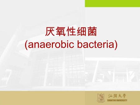 厌氧性细菌 (anaerobic bacteria). 一、概念： 指在无游离氧环境中生长或生长最佳的 细菌。
