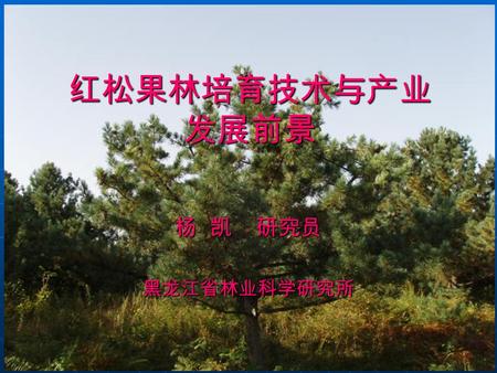 红松果林培育技术与产业 发展前景 杨 凯 研究员 黑龙江省林业科学研究所. 前言 红松 (Pinus koraiensis) 是我国东北林区特 有的珍贵用材和果用树种。红松具有果树 的结实特性，红松种仁具有很高的营养价 值和医疗保健价值，开发潜力很大。目前， 市场上供不应求。红松果林的发展既是东 北林区调整产业方向、保护生态环境的需.