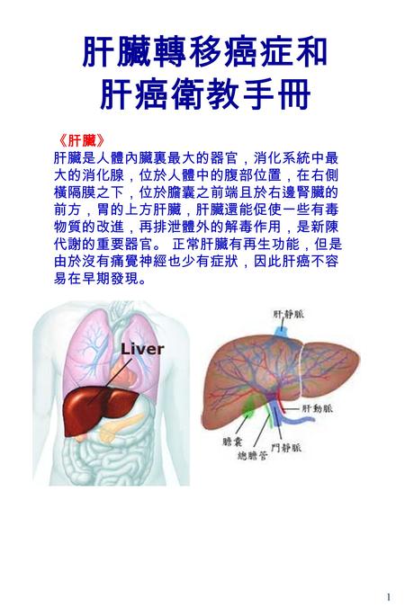 1 肝臟轉移癌症和 肝癌衛教手冊 《肝臟》 肝臟是人體內臟裏最大的器官，消化系統中最 大的消化腺，位於人體中的腹部位置，在右側 橫隔膜之下，位於膽囊之前端且於右邊腎臟的 前方，胃的上方肝臟，肝臟還能促使一些有毒 物質的改進，再排泄體外的解毒作用，是新陳 代謝的重要器官。 正常肝臟有再生功能，但是 由於沒有痛覺神經也少有症狀，因此肝癌不容.