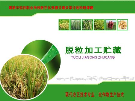 TUOLI JIAGONG ZHUCANG. 脱粒加工与储藏 1. 了解水稻常用脱粒机械、加工机械、烘干机械的类型、 构成，及其使用方法 。 2. 掌握稻谷贮藏方法。