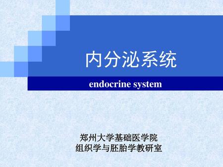 内分泌系统 endocrine system.