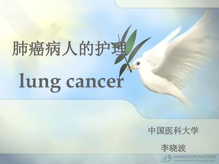肺癌病人的护理 lung cancer 中国医科大学 李晓波.