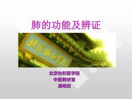 肺的功能及辨证 北京协和医学院 中医教研室 潘明政.