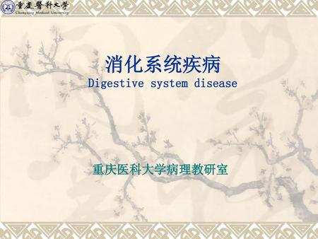 消化系统疾病 Digestive system disease