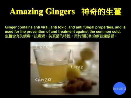 Amazing Gingers 神奇的生薑 Ginger contains anti viral, anti toxic, and anti fungal properties, and is used for the prevention of and treatment against the.