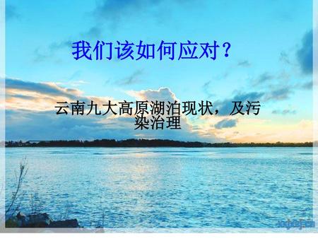 我们该如何应对？ 云南九大高原湖泊现状，及污染治理.