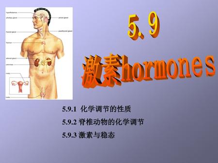 5.9 激素hormones 5.9.1 化学调节的性质 5.9.2 脊椎动物的化学调节 5.9.3 激素与稳态.