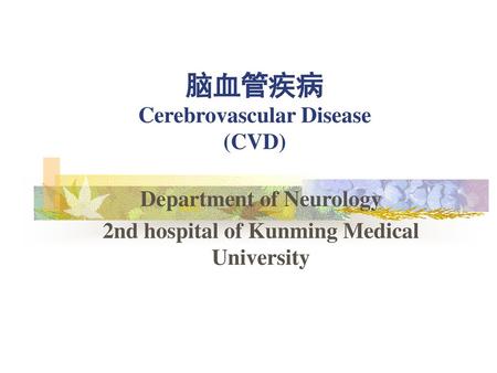 脑血管疾病 Cerebrovascular Disease (CVD)