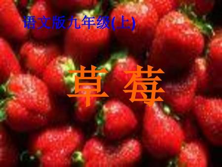 语文版九年级(上) 草 莓.