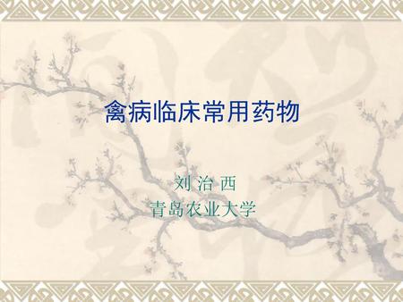 禽病临床常用药物 刘 治 西 青岛农业大学.