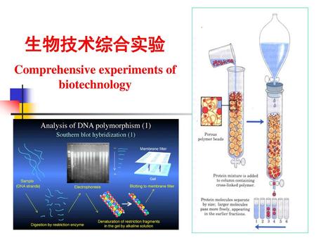 Comprehensive experiments of biotechnology