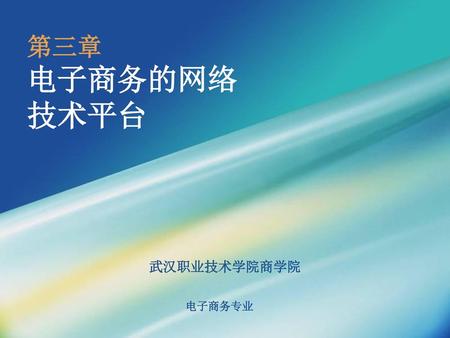 第三章 电子商务的网络 技术平台 武汉职业技术学院商学院.