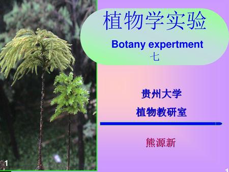 植物学实验 Botany expertment 七