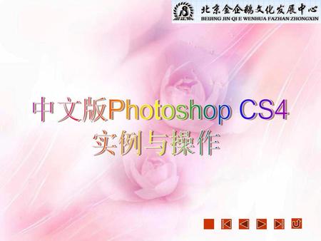 中文版Photoshop CS4 实例与操作.