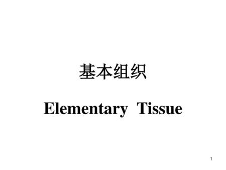 基本组织 Elementary Tissue.
