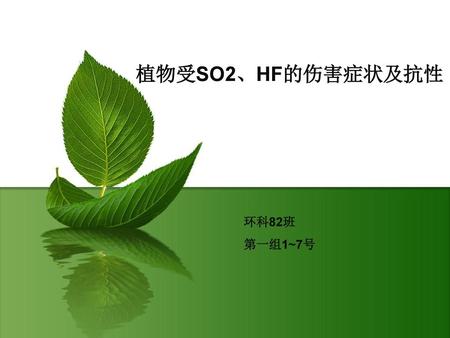 植物受SO2、HF的伤害症状及抗性 环科82班 第一组1~7号.