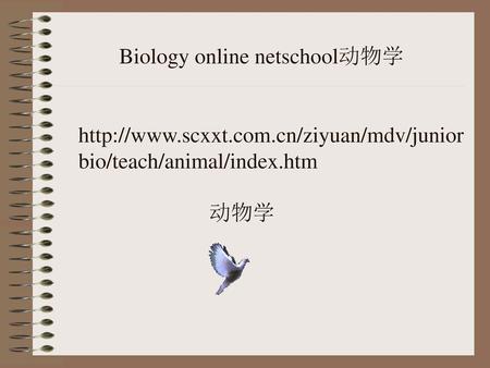 Biology online netschool动物学