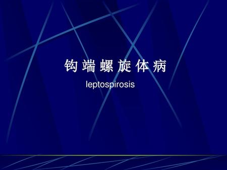 钩 端 螺 旋 体 病 leptospirosis.