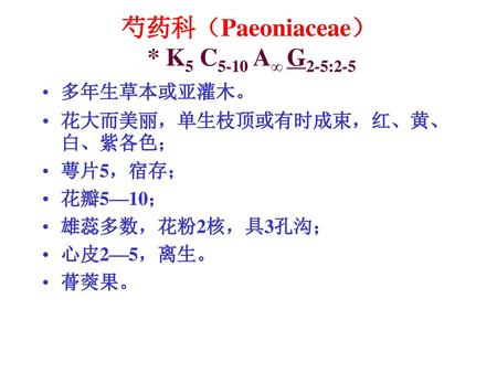 芍药科（Paeoniaceae） * K5 C5-10 A∞ G2-5:2-5