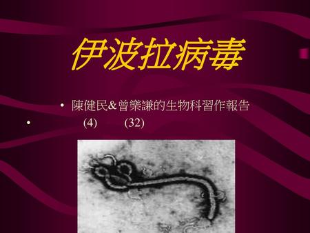 伊波拉病毒 陳健民&曾樂謙的生物科習作報告 (4) (32).