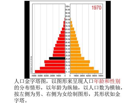 人口金字塔图，以图形来呈现人口年龄和性别