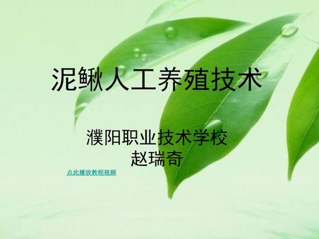 泥鳅人工养殖技术 濮阳职业技术学校 赵瑞奇 点此播放教程视频.