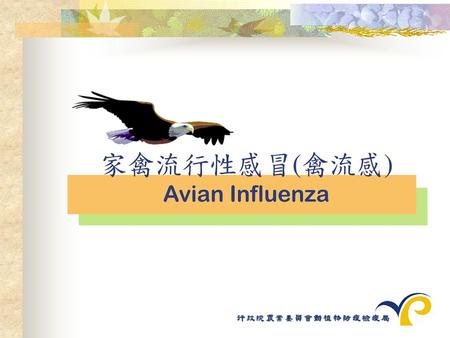 家禽流行性感冒(禽流感) Avian Influenza